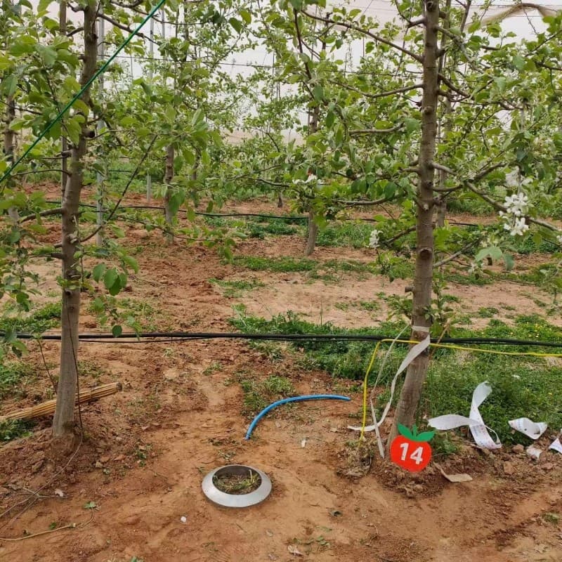 我公司中標西北農林科技大學土壤蒸發觀測系統順利安裝完畢并驗收！